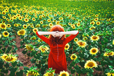 Low angle view of person standing on sunflower field