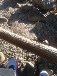 Low section of person standing on rock at beach