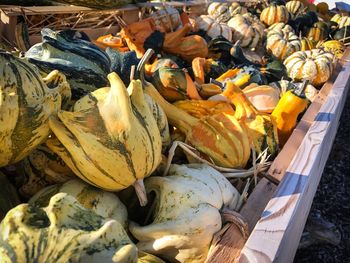 Close-up of pumpkins for sale at market