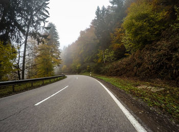 Empty road along trees