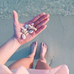 Low section of woman holding seashells while standing on shore at beach