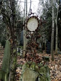 Close-up of cemetery on tree