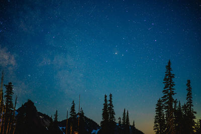 Low angle view of silhouette trees against sky at night