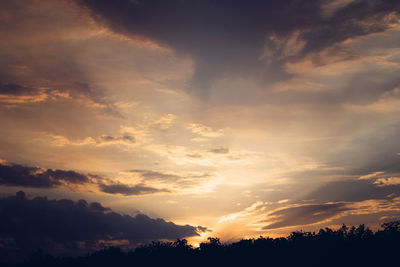 Low angle view of silhouette trees against sky during sunset