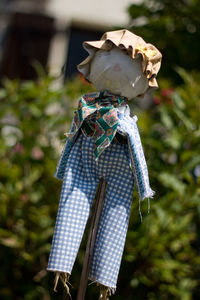 Close-up of doll