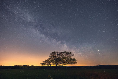 Trees on field against sky at night