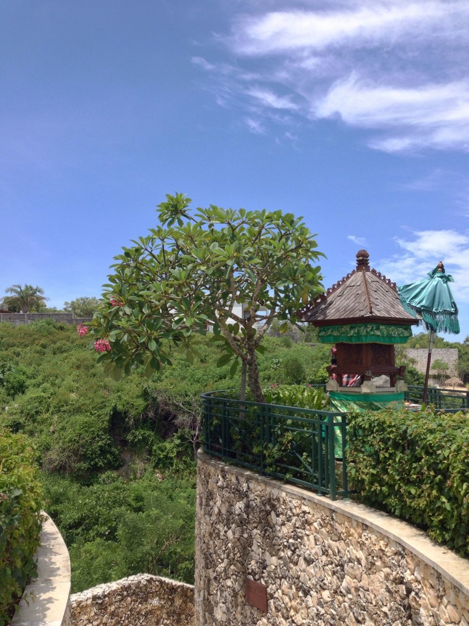 tree, sky, built structure, building exterior, architecture, grass, growth, house, green color, plant, blue, nature, field, sunlight, day, tranquility, cloud - sky, outdoors, beauty in nature, tranquil scene