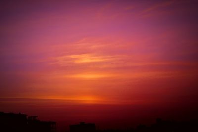 Silhouette of trees at sunset