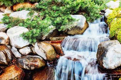 Scenic view of waterfall in forest