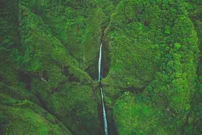 Scenic view of waterfall at sacred falls state park