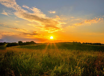 Scenic view of field against sky during sunset