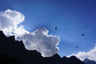 Low angle view of eagle flying in sky