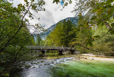 Bridge over river amidst trees against sky