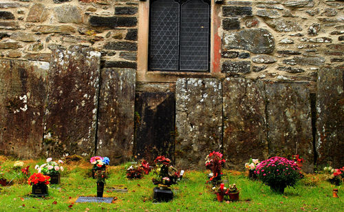 View of flowers in front of building