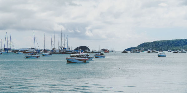 Sailboats in sea against sky