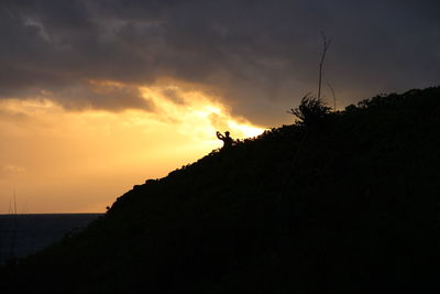 Silhouette of birds by sea against sky during sunset