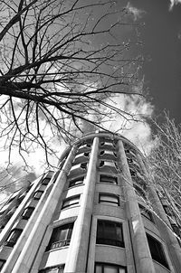 Low angle view of tree in city against sky