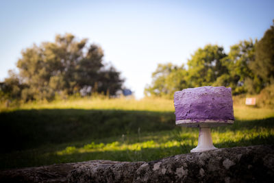 Close-up of cake on stone wall