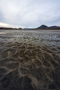 Rough wetland on cloudy day