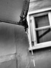 Close-up of icicles against tree during winter