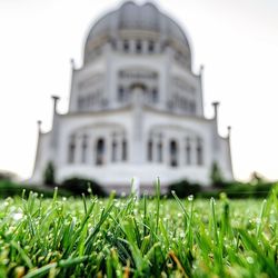 Lawn in lawn