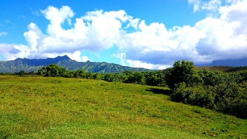 Scenic view of landscape against cloudy sky