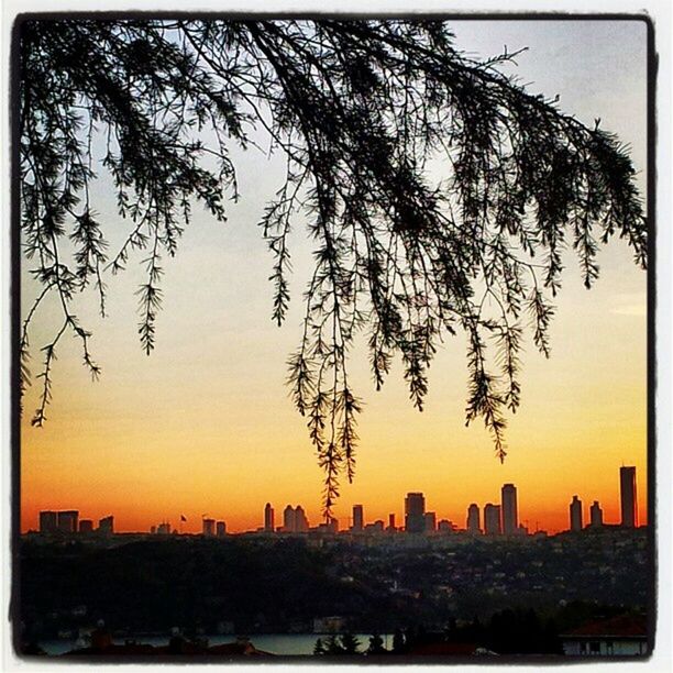 sunset, transfer print, silhouette, city, building exterior, skyscraper, cityscape, architecture, built structure, auto post production filter, tree, sky, orange color, urban skyline, tower, tall - high, branch, skyline, city life, nature