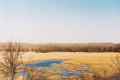 Scenic view of landscape against clear sky