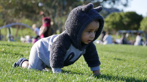 Cute baby boy crawling on grassy field at park