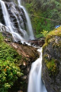 Scenic view of waterfall in forest