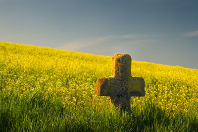 Cross on field against sky