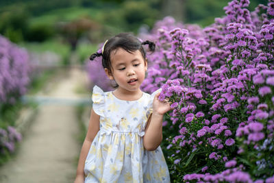 Woman standing on purple flowering plants