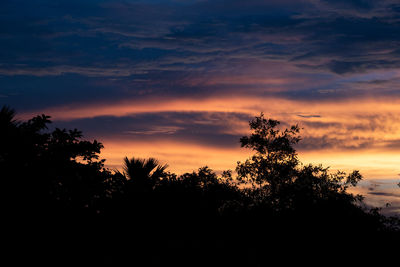 Silhouette trees against dramatic sky during sunset