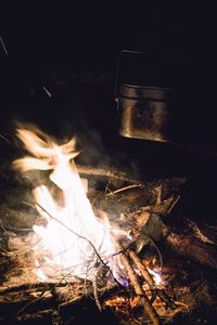 Bonfire on log at night