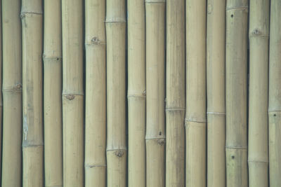 Full frame shot of bamboo