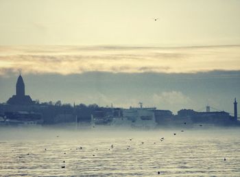 Birds flying over sea