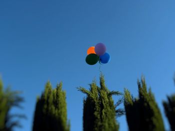 Low angle view of balloons against blue sky