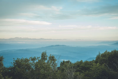 sea of clouds