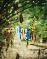 Close-up of clothespins hanging on rope