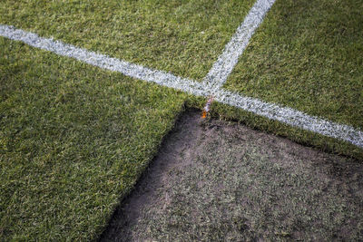 High angle view of cobblestone field