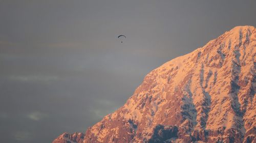 Low angle view of person paragliding by snowcapped mountain against sky during sunset