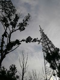 Low angle view of trees against sky