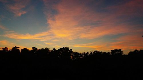 Silhouette trees against sky during sunset