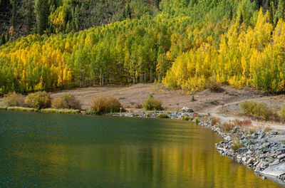 Scenic view of lake in forest during autumn