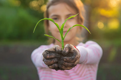 Close-up of hand holding plant