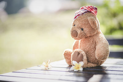 Close-up of stuffed toy on table