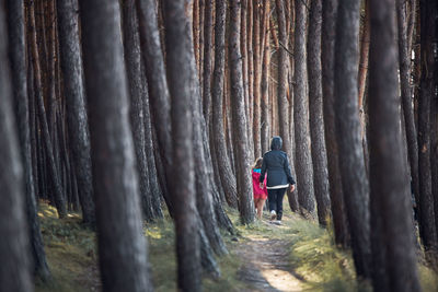 Summer vacation trip close to nature. family walking in forest. people actively spending time