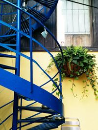 Staircase in building
