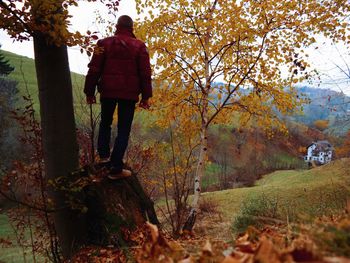 Rear view of woman standing by tree