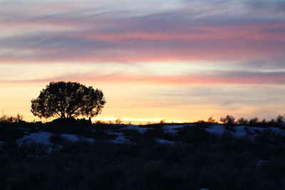 Silhouette trees on field against sky during sunset